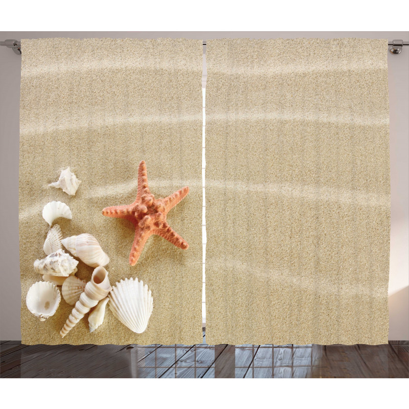 Exotic Seashells with Sand Curtain