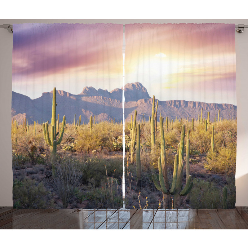 Saguaro Cactus and Mountain Curtain