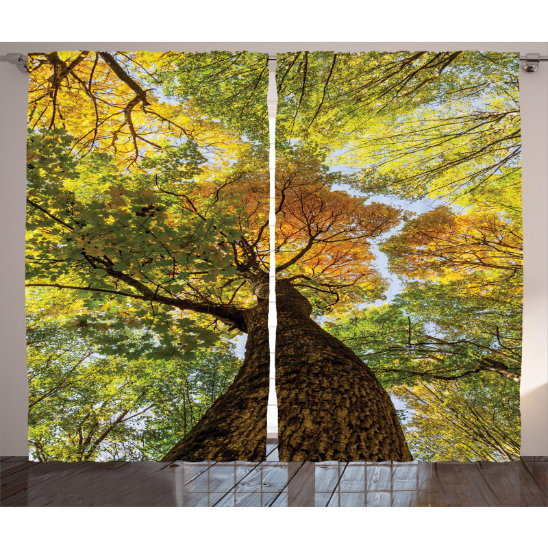 Autumn Tree of Nature Photo Curtain