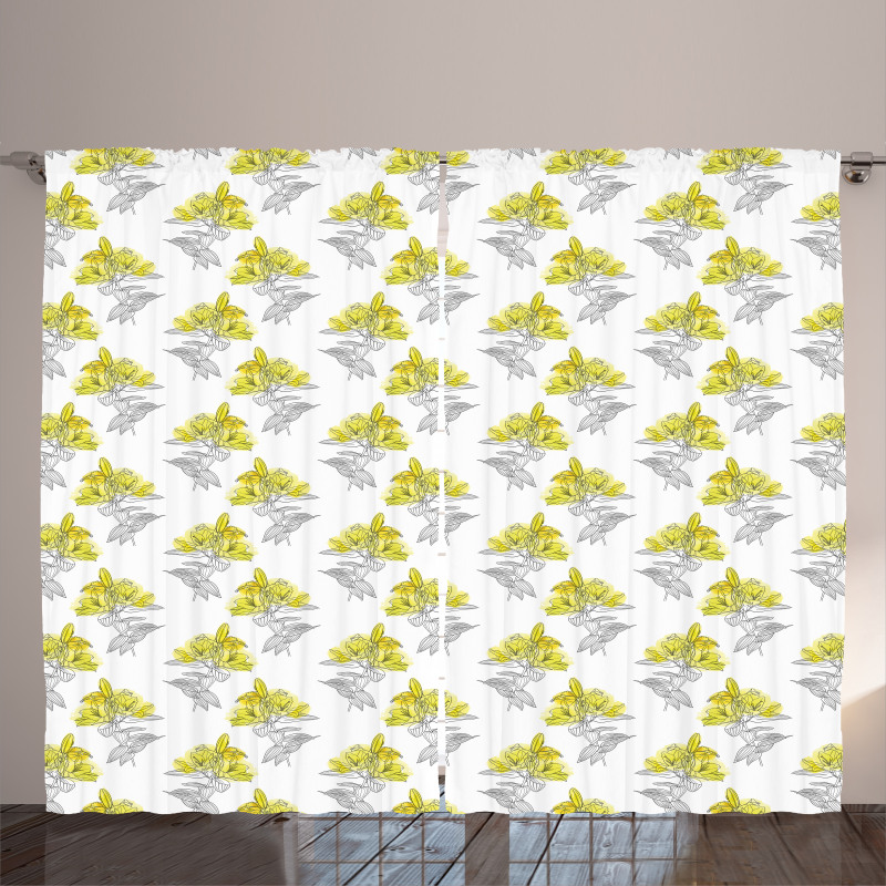 Lily Flowers Sketch Artwork Curtain