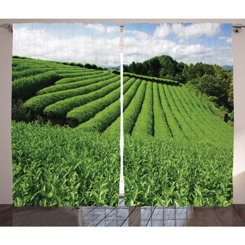Sunny Landscape Tea Fields Curtain