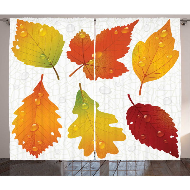 Realistic Dried Leaves Falling Curtain