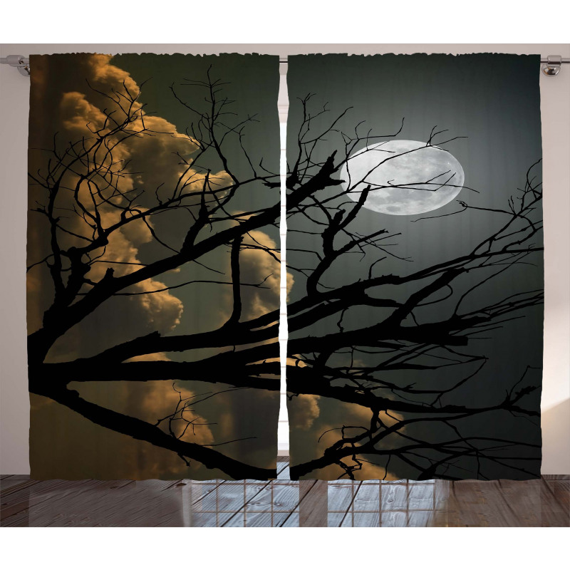 Bare Branches and Full Moon Curtain