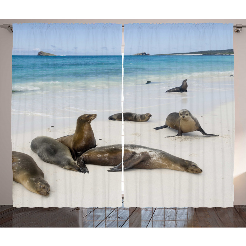 Galapagos Island Sea Lions Curtain