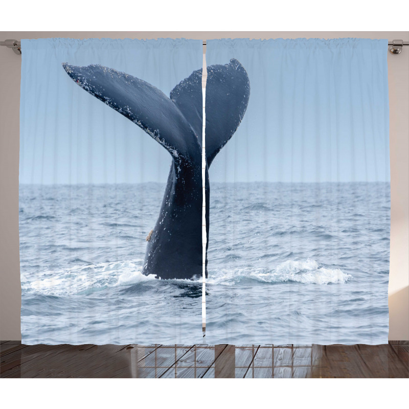 Whale Tail Puerto Lopez Curtain