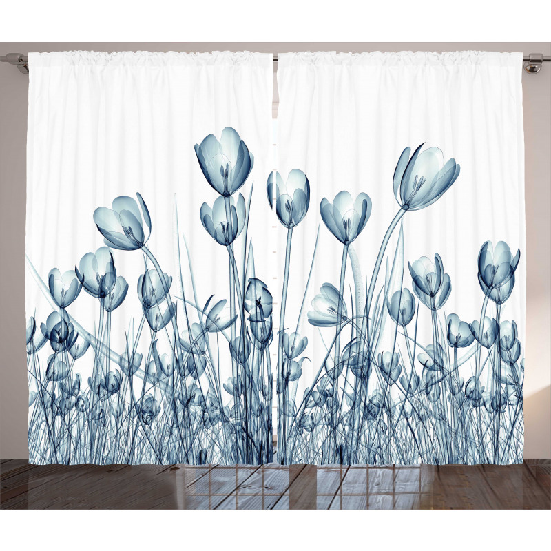 Crocus Flower Field in Xray Curtain