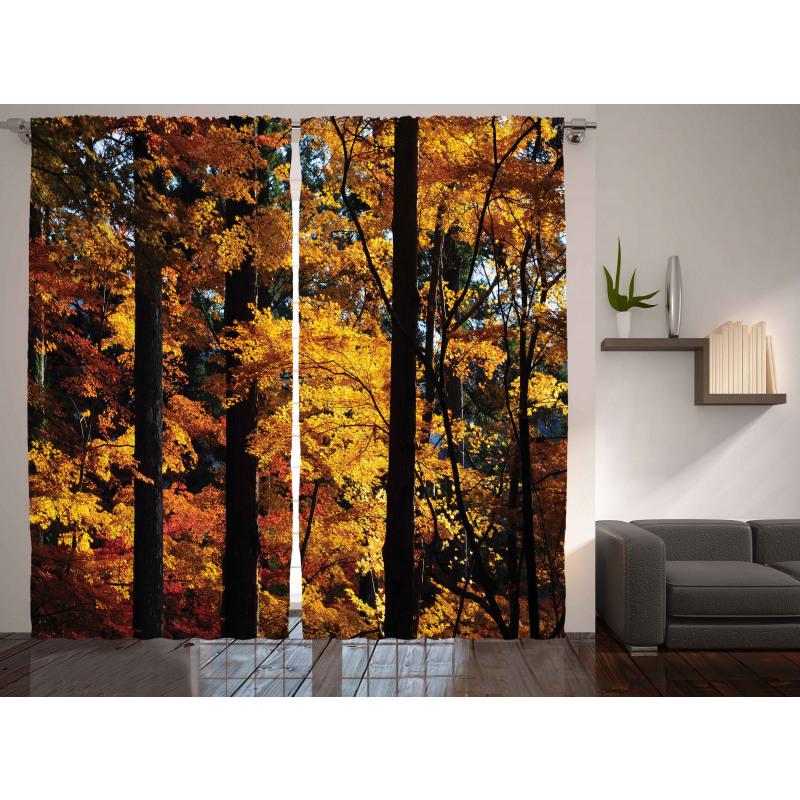 Fall Tranquil Countryside Curtain