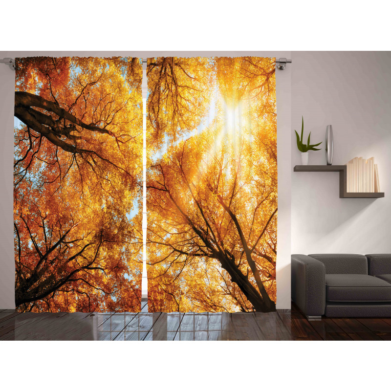 Autumn Sunbeams Forest Curtain
