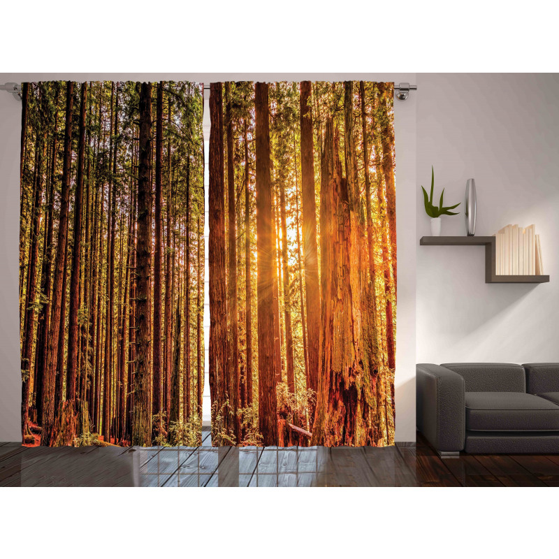 Redwoods Forestry Curtain