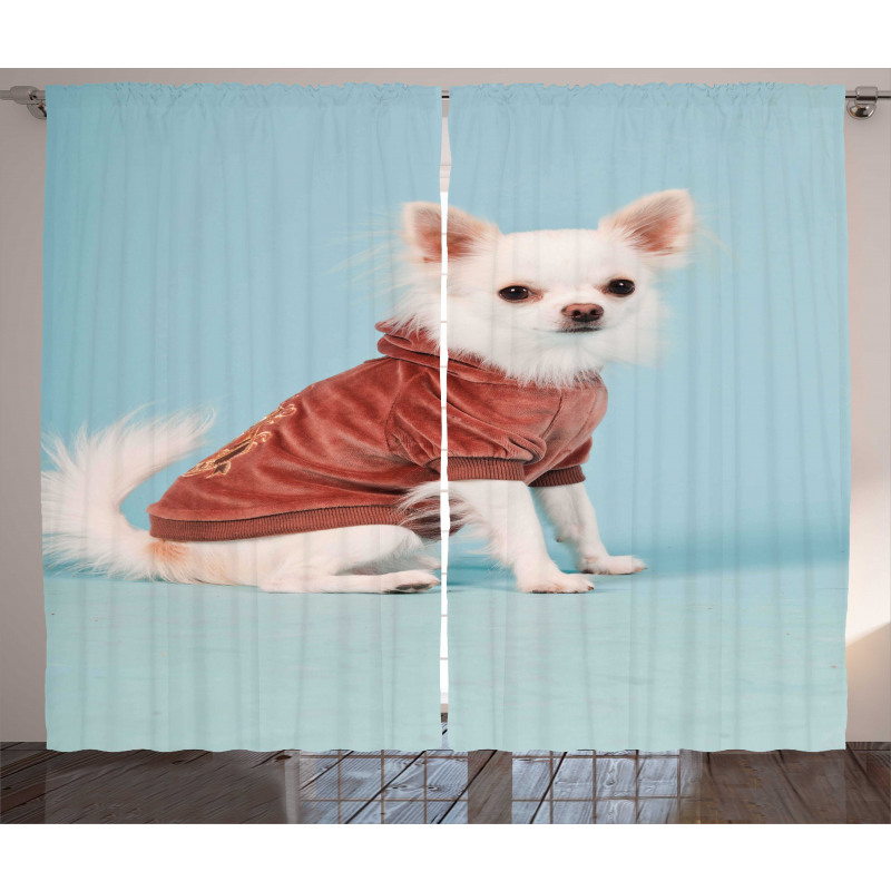 Puppy with Clothes Curtain