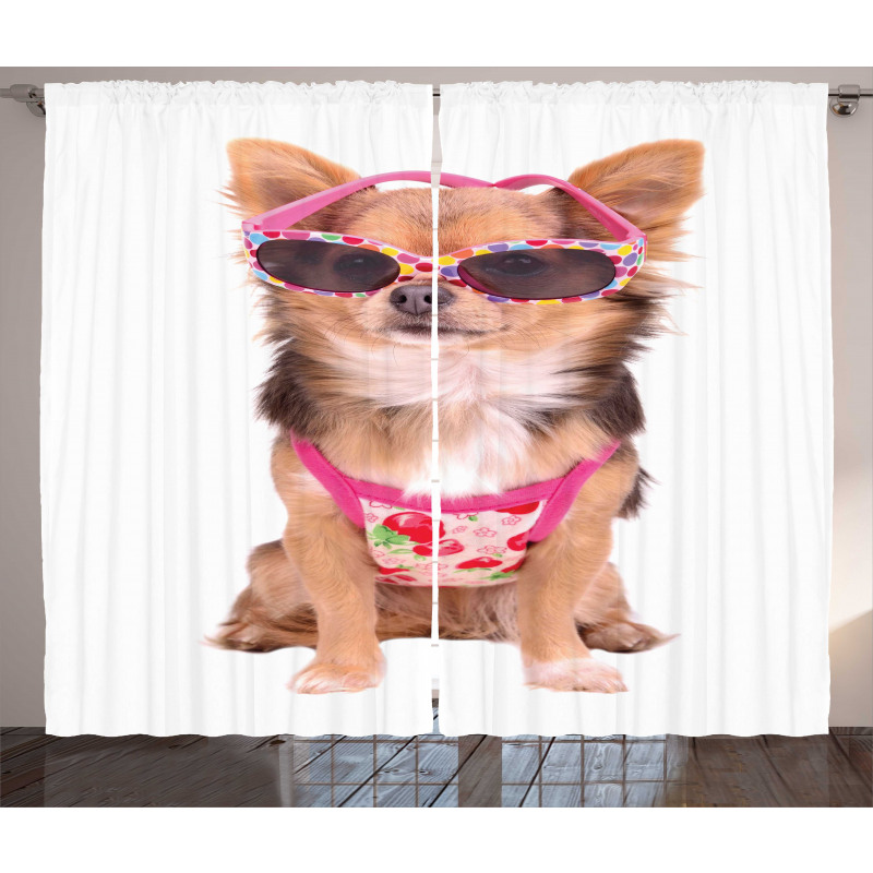 Puppy with Summer Clothes Curtain