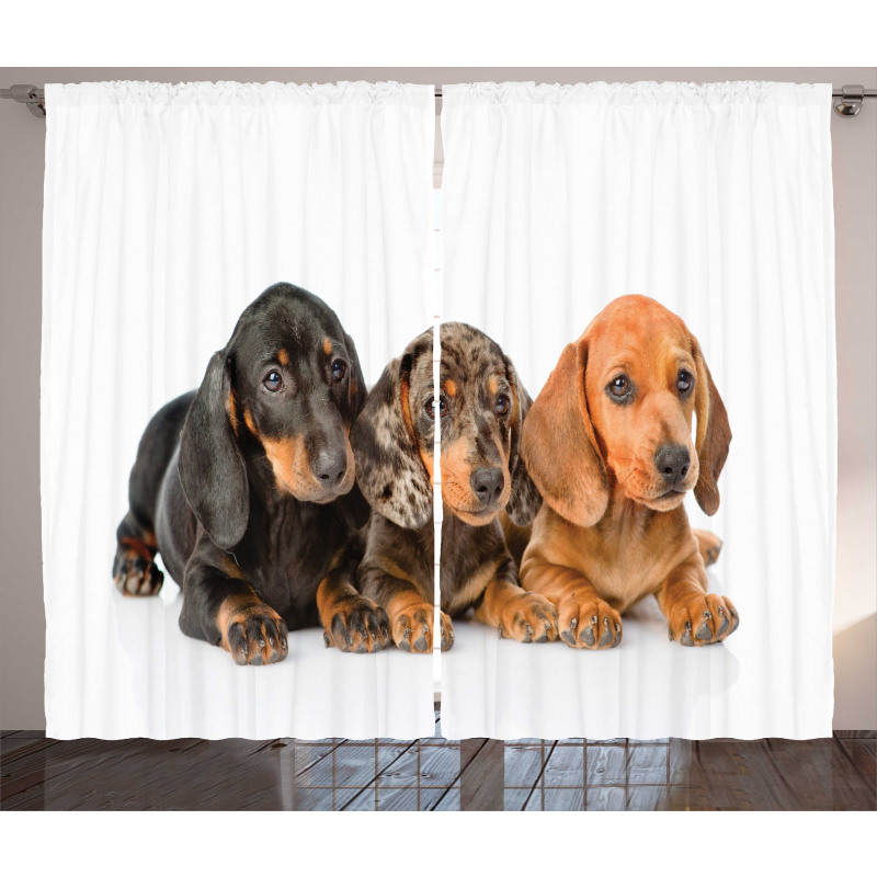 Puppies Lying Together Curtain