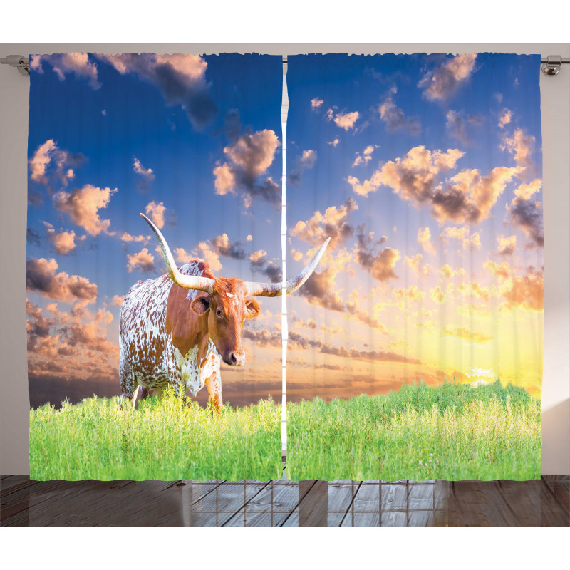 Female Cow in Pasture Sky Curtain