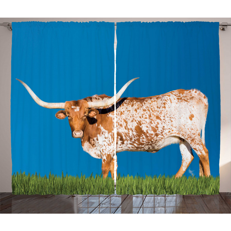 Female Cow and Open Sky Curtain