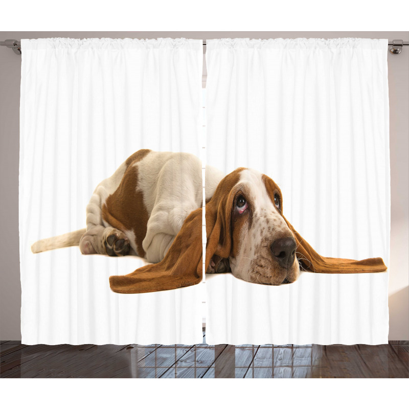 Long Eared Dog Curtain