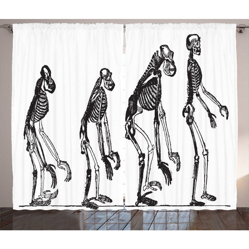 Evolution Theme Ape to Man Curtain