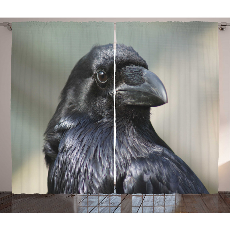 Close up Bird Portrait Curtain