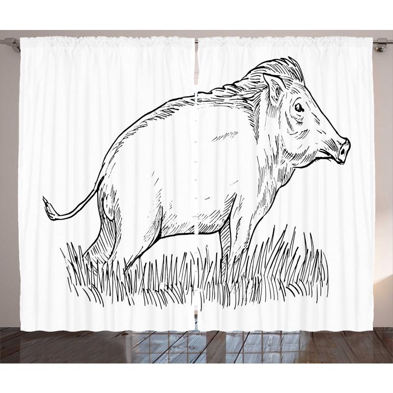 Outline Sketch Wild Boar Curtain