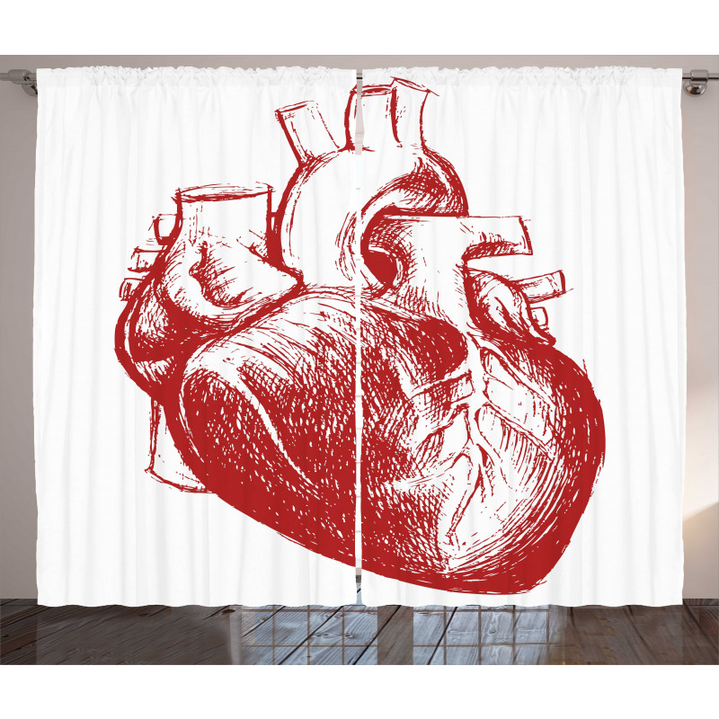 Sketch of Cardio Organ Curtain