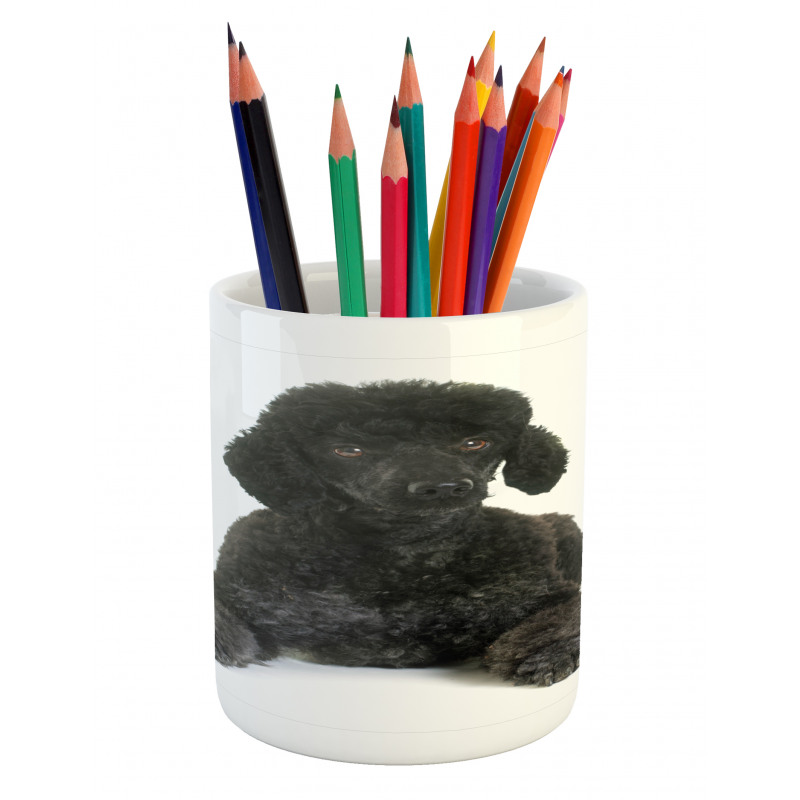 Fluffy Purebred Animal Love Pencil Pen Holder