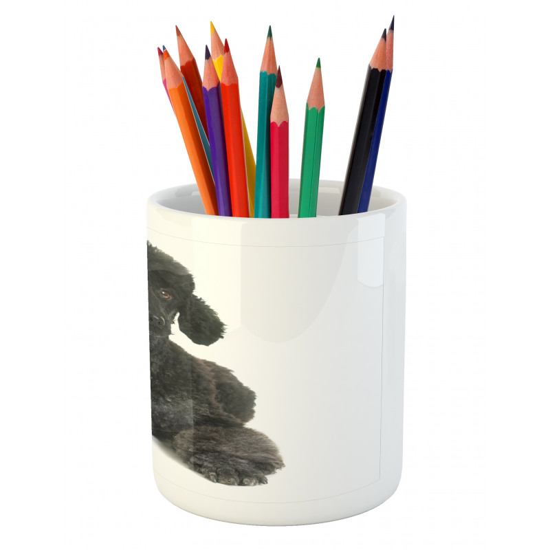 Fluffy Purebred Animal Love Pencil Pen Holder