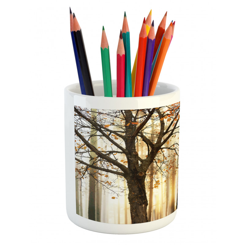 Tree in Abstract Woods Pencil Pen Holder