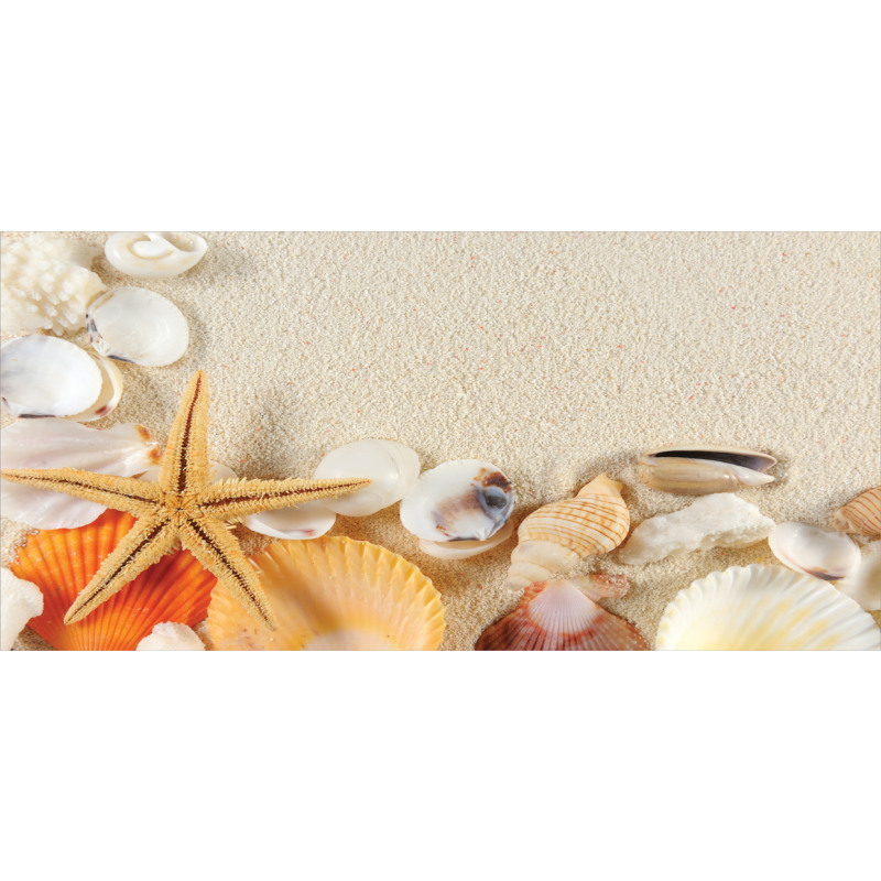 Seashells Starfish Pencil Pen Holder