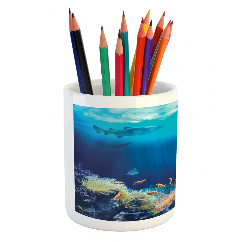 Various Fish Nautical Pencil Pen Holder