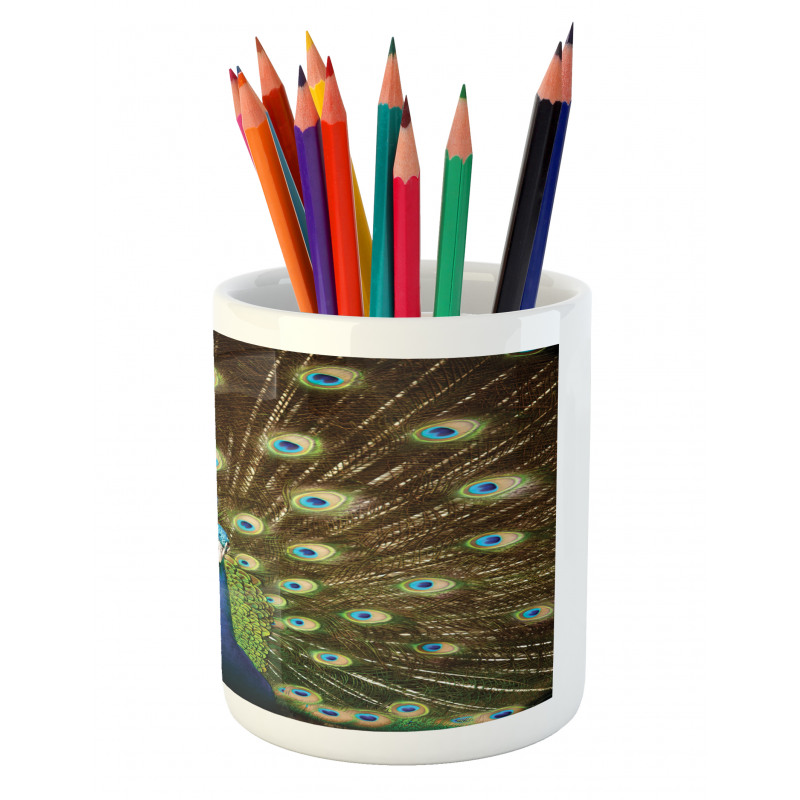 Peacock with Feathers Pencil Pen Holder