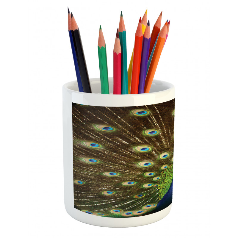 Peacock with Feathers Pencil Pen Holder