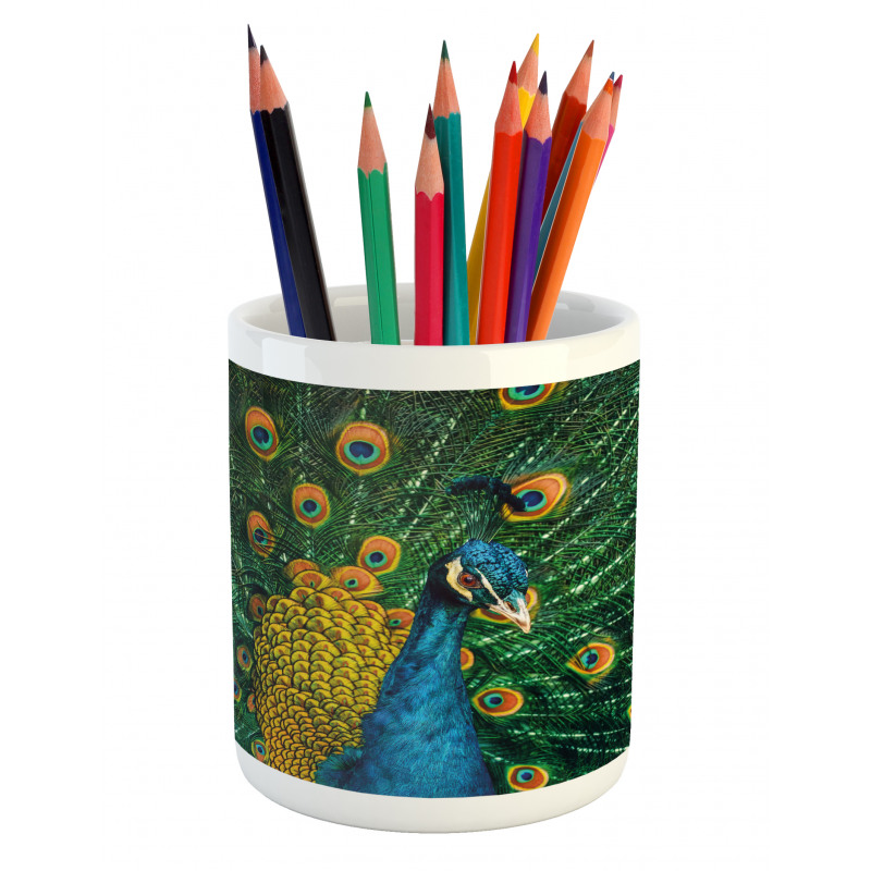 Portrait of the Peacock Pencil Pen Holder