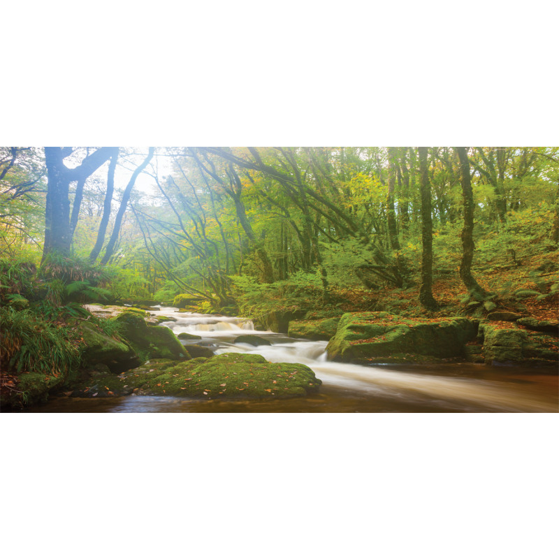 Forest at Golitha Falls Pencil Pen Holder