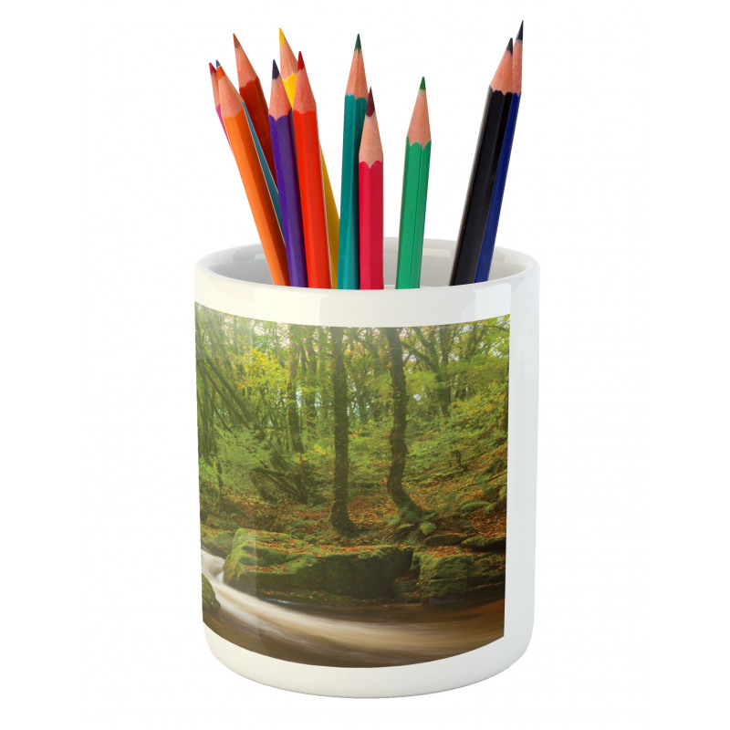 Forest at Golitha Falls Pencil Pen Holder