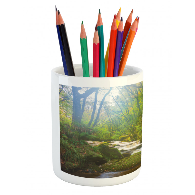 Forest at Golitha Falls Pencil Pen Holder