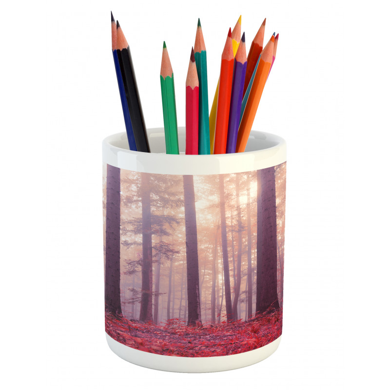 Trees Foggy Sunlight Pencil Pen Holder