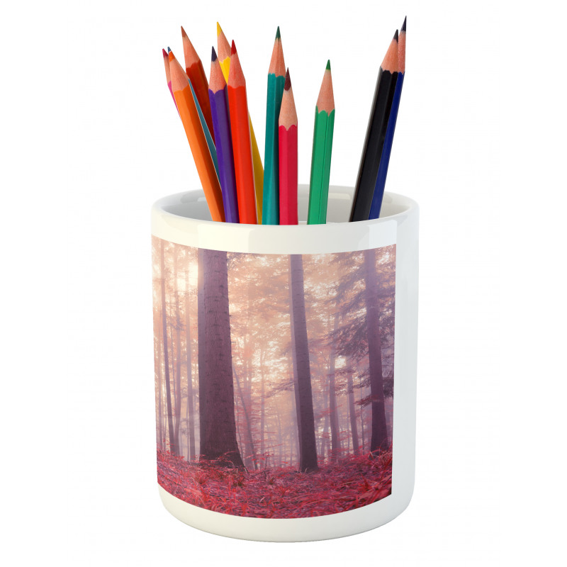 Trees Foggy Sunlight Pencil Pen Holder