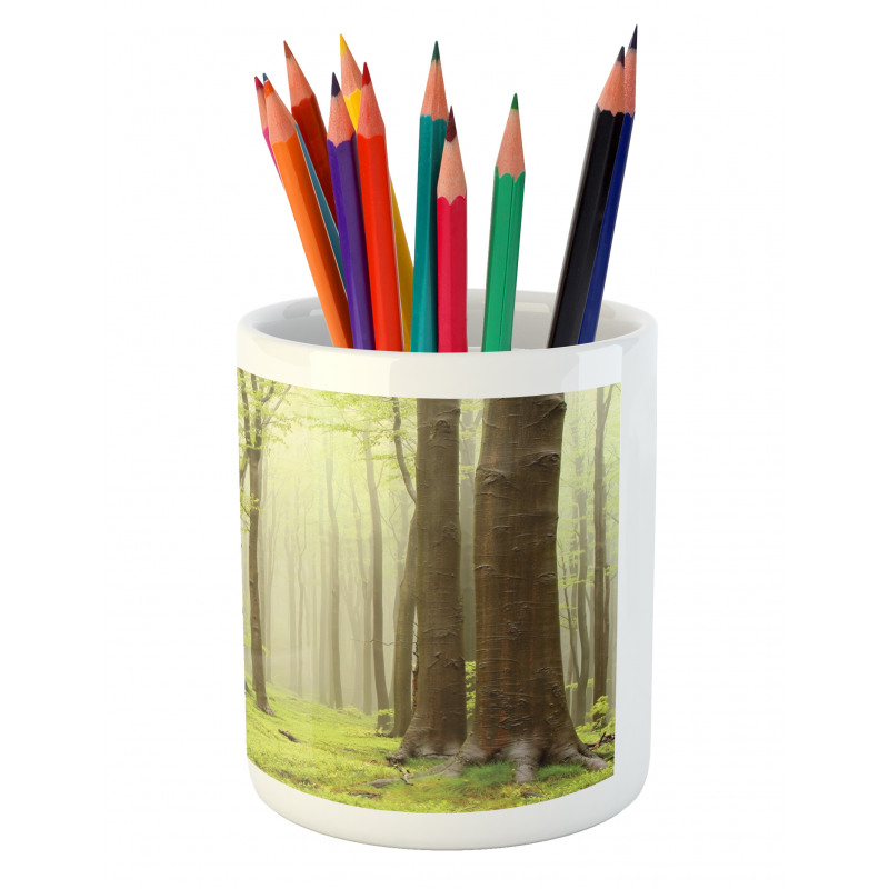 Misty Beech Forest Photo Pencil Pen Holder