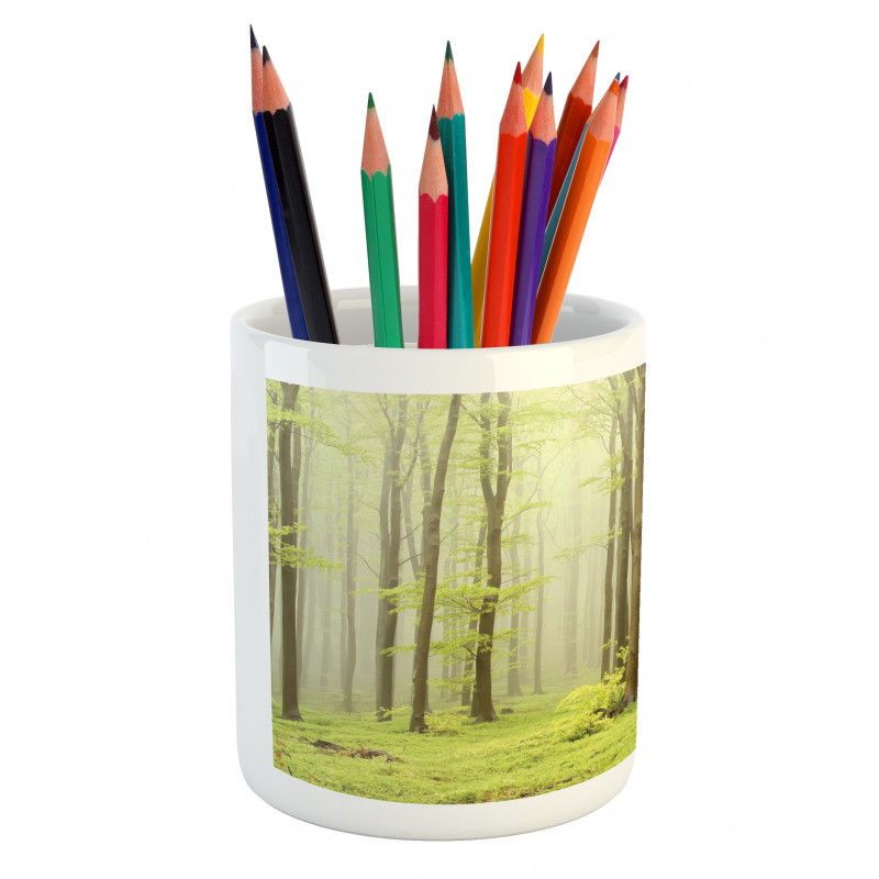 Misty Beech Forest Photo Pencil Pen Holder