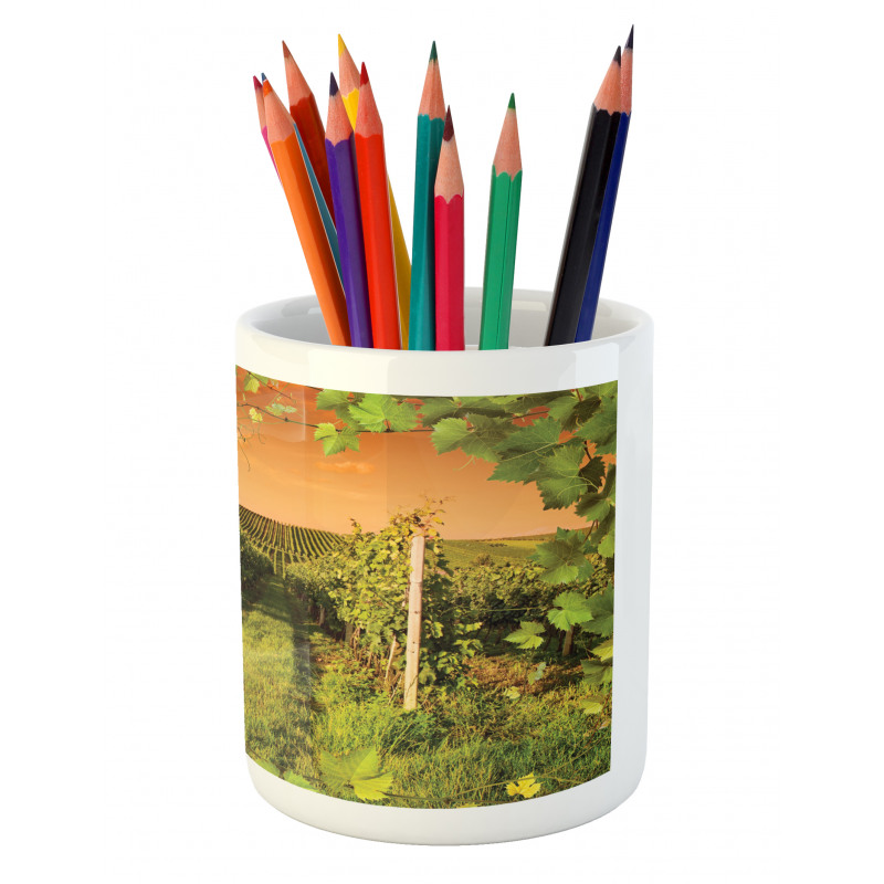 Bottle Grapes Sunset Pencil Pen Holder