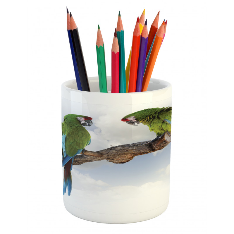 2 Parrot Macaw Bird Pencil Pen Holder