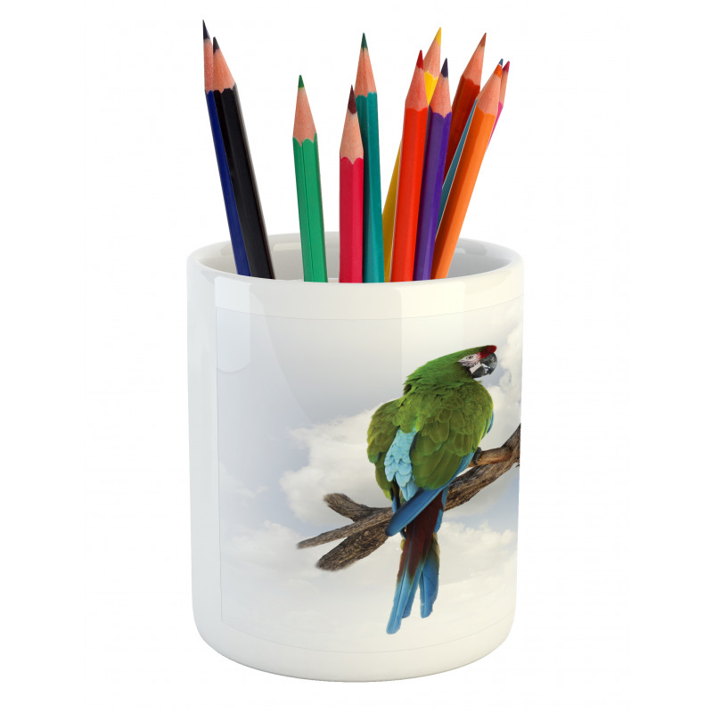 2 Parrot Macaw Bird Pencil Pen Holder