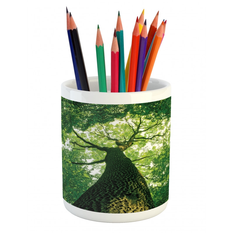 Leaves Tree Branches Pencil Pen Holder