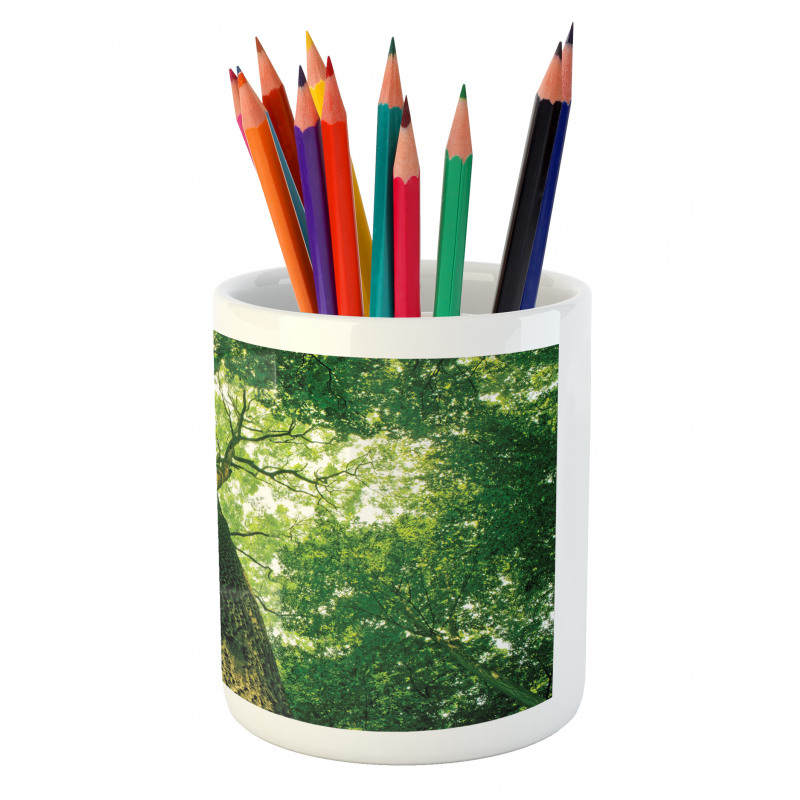 Leaves Tree Branches Pencil Pen Holder