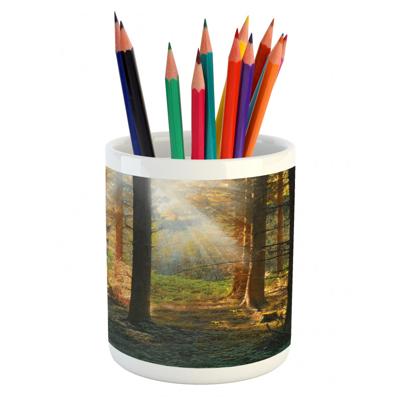 Sunset Dark Pine Trees Pencil Pen Holder