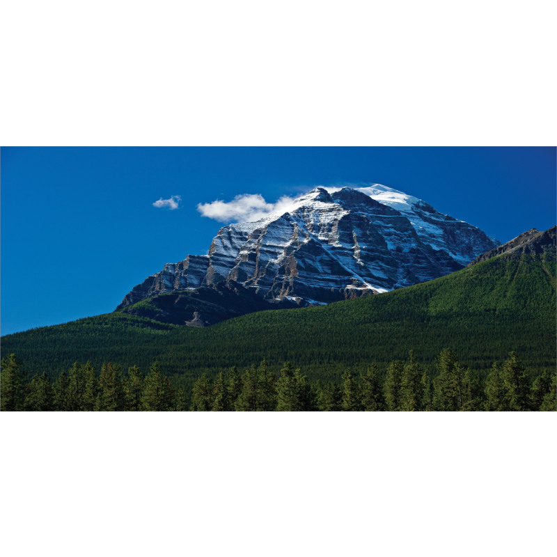 Snowy Peaks Trees Park Pencil Pen Holder