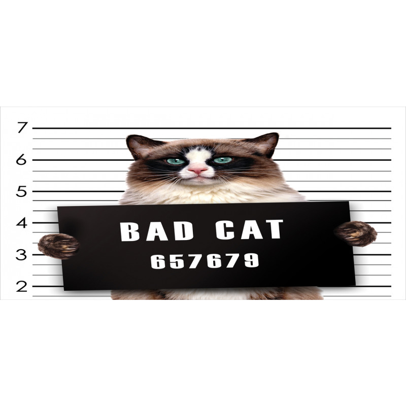 Jail Kitty Under Arrest Pencil Pen Holder