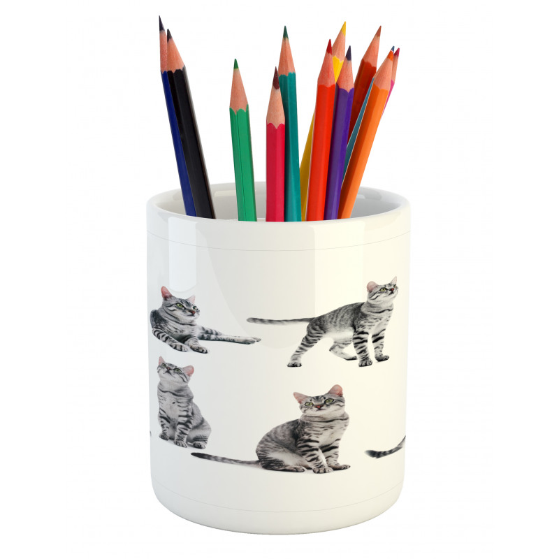 Striped Furry Animal Posing Pencil Pen Holder