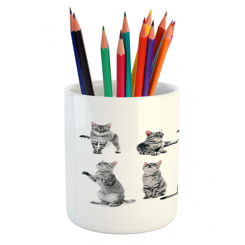 Striped Furry Animal Posing Pencil Pen Holder