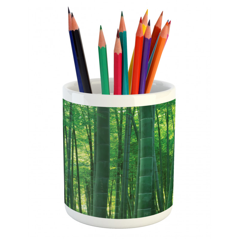 Green Wild Exotic Bamboo Pencil Pen Holder