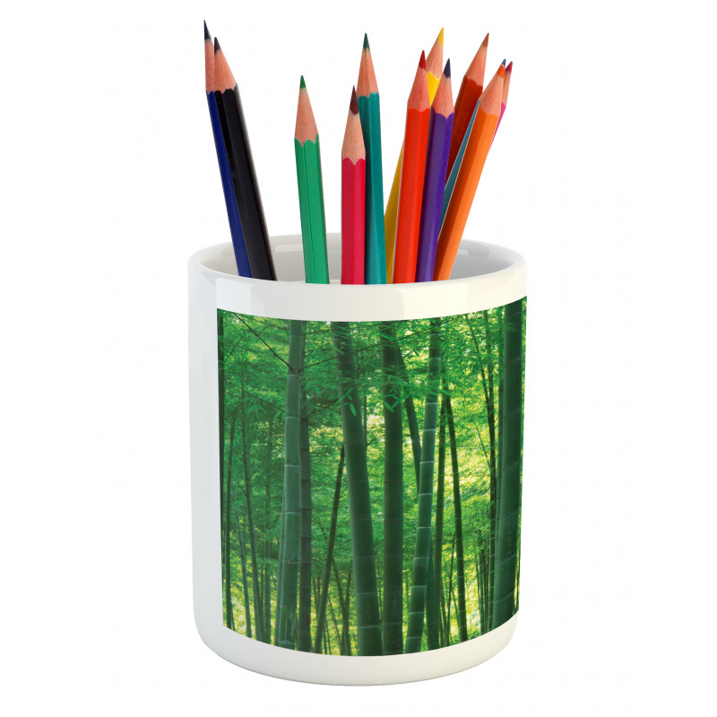 Green Wild Exotic Bamboo Pencil Pen Holder